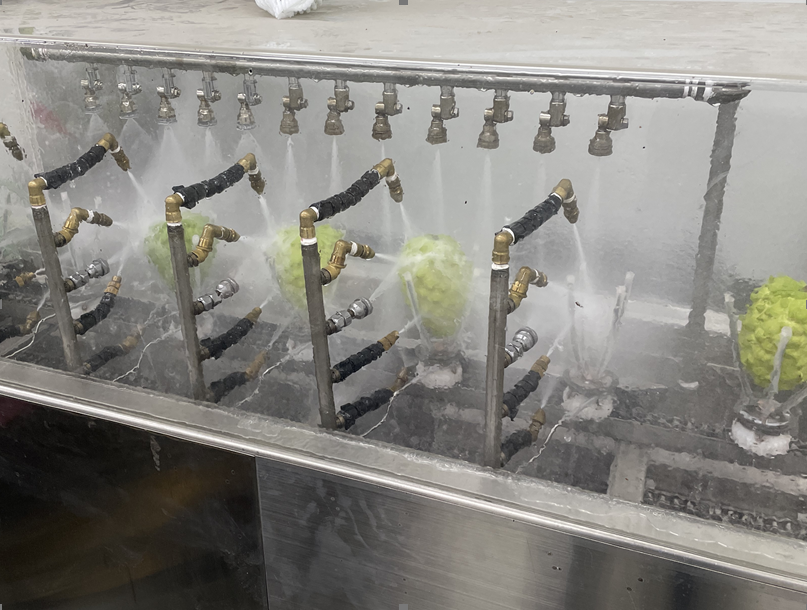 新型「鳳梨釋迦果實」清潔機械 效率提高3.3倍、蟲體清除率100%